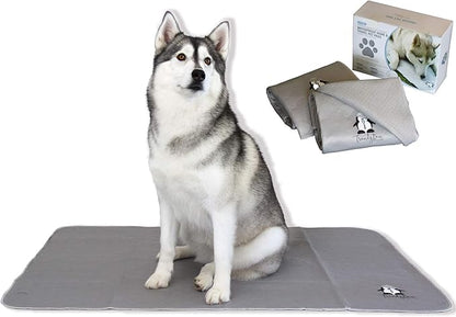 Washable Pee Pads for Dogs XXL (2 Pack), Reusable Puppy Training Pads, Ultra Absorbent & Waterproof Pet Mat for Senior Dogs, Non-Slip, Floor & Furniture Protector (36"x48") by Trendy Den Creations