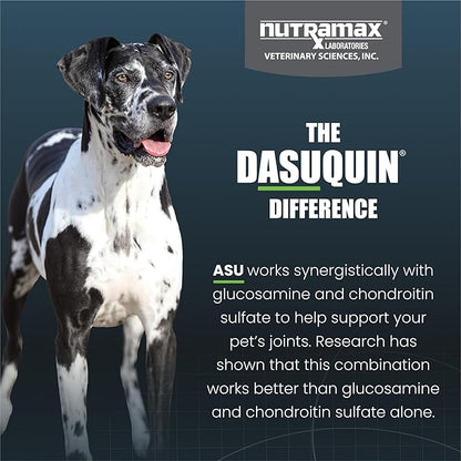 Dasaquin Dog Joint Supplement Chew Tablet (150 Count) Dog Size: Large (60+ lbs)