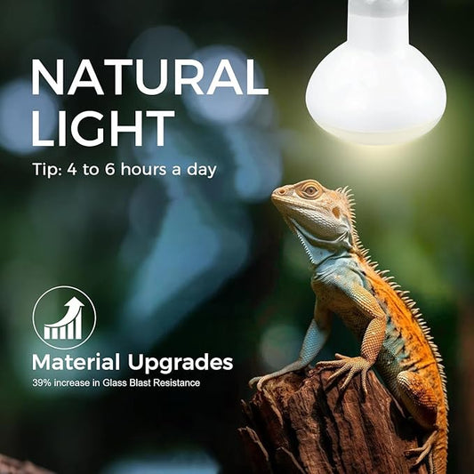 MISDOOD Infrared Reptile Heat Bulb Lamp 75W, 2-in-1 Day & Night Combo, Infrared Heat Lamp & UVA Sunlight Heating Lamp for Reptile Terrariums