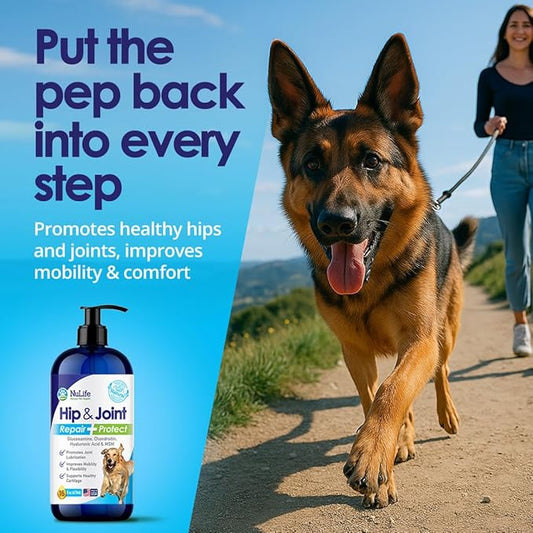 Liquid Glucosamine for Dogs - Advanced Joint Supplement for Dogs Ages with Chondroitin, MSM & Hyaluronic Acid - Repairs & Protects Joints, Supports Mobility & Pain Relief - 16oz