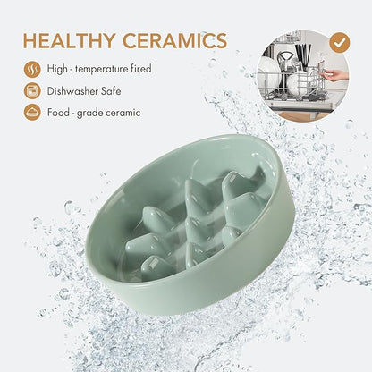 Ceramic 1.2 Cup Dog Bowl Slow Feeder, 7.3 inch Slow Pet Food Dish for Medium and Small Dog, Stop Bloat, Preventing Choking(Single Bowl, Light Green)