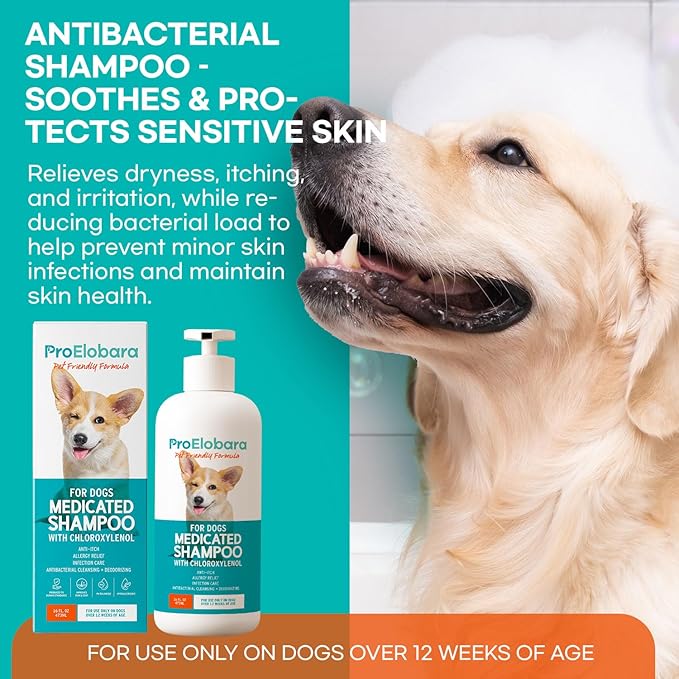 Medicated Dog Shampoo for Itchy Relief: Yeast Skin Infections and Bacterial Treatment for Dogs - Helps Hot Spots, Deodorizing, Allergy Relief - Healthy Skin & Coat - Antifungal Dog Shampoo 16 oz