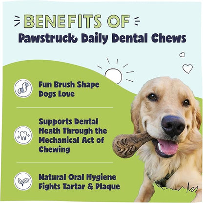 Pawstruck Natural Dental Chews for Medium Large Dogs & Puppies - Vet Recommended Brush Stick Treats Made in USA Breath Freshener to Improve Oral Hygiene & Clean Teeth - 30 Count - Packaging May Vary