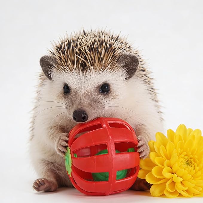 Wzttdm Dig-Box Tray for Hedgehog Cage with Ball Toy, Hedgehog Enrichment Kit Toy, Hedgehogs Accessories, for Hamster, Cat, Small Animal Accessories (White, 8.4 * 5.9 * 1.6in)