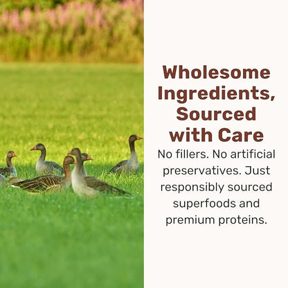 BADLANDS RANCH Superfood Nuggets – Freeze-Dried Raw Dog Treat & Food Topper, Nutrient-Dense Duck & Kale Formula, High Protein, No Artificial Additives, 8oz Bag