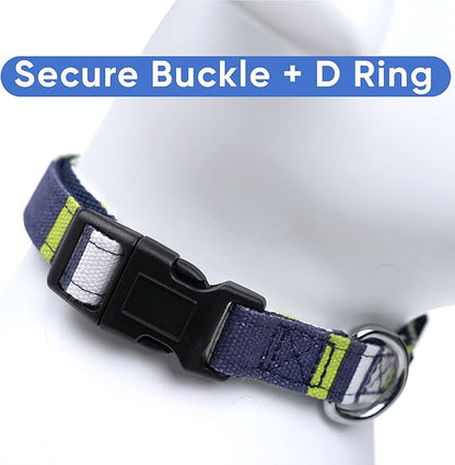 Pawtitas Personalized Dog Collar Small Dog Collar Embroider Name Phone Number Puppy Collar Adjustable Customized Collar for Small Dogs Breeds Multicolor Dog Collar