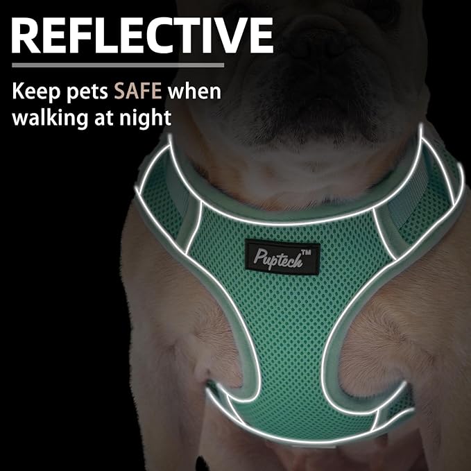 PUPTECK Small Dog Harness and Leash Set, No Pull Adjustable Puppy Cat Harness, Reflective Soft Mesh Pet Vest Small Sized