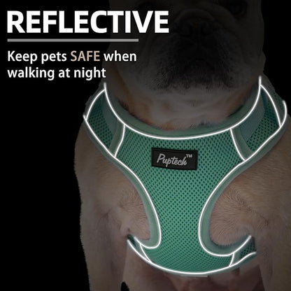 PUPTECK Small Dog Harness and Leash Set, No Pull Adjustable Puppy Cat Harness, Reflective Soft Mesh Pet Vest Small Sized