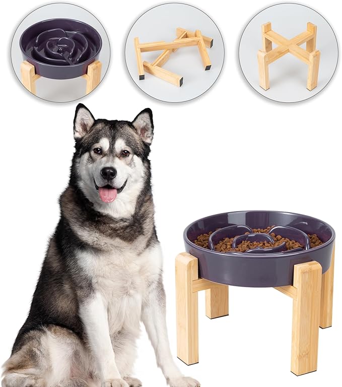 Elevated Slow Feeder Dog Bowl - Puzzle Maze Dish with Bamboo Stand - Raised Ceramic Food Bowl for Medium and Large Dogs - 8.8 Inch - Purple