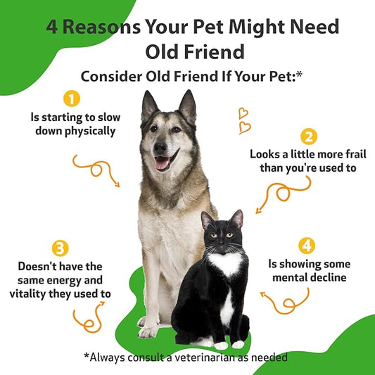 Pet Wellbeing Old Friend for Senior Dogs & Cats- Supports Immune System Health, Joint Mobility, Healthy Energy Levels, Alfalfa, Reishi - Veterinarian-Formulated Herbal Supplement 4 oz (118 ml)