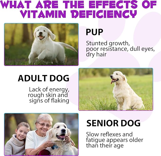 Dog Multivitamin, 15 in 1 Dog Multivitamin Liquid Drops Supplements, Dog Vitamins for Support Skin & Coat, Heart Health, Bones, Joint, Immune System Support, 60ml