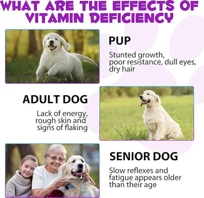 Dog Multivitamin, 15 in 1 Dog Multivitamin Liquid Drops Supplements, Dog Vitamins for Support Skin & Coat, Heart Health, Bones, Joint, Immune System Support, 60ml