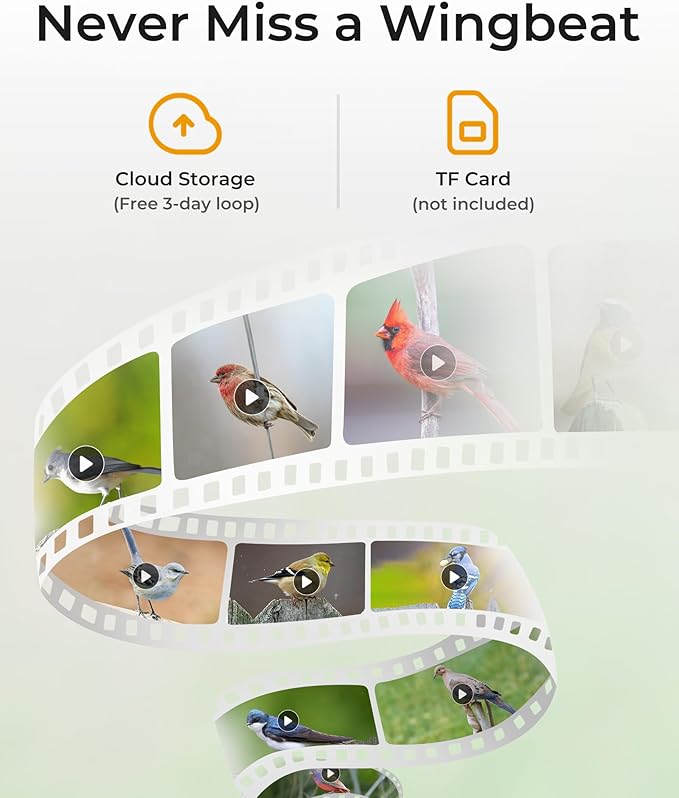 TT Nature Bird Feeder with Camera – 3L Smart Bird Feeder with AI Recognition, Live Streaming, Cloud Storage, Real-Time Alerts, Birdwatching Gift for Nature Lovers (Bamboo)