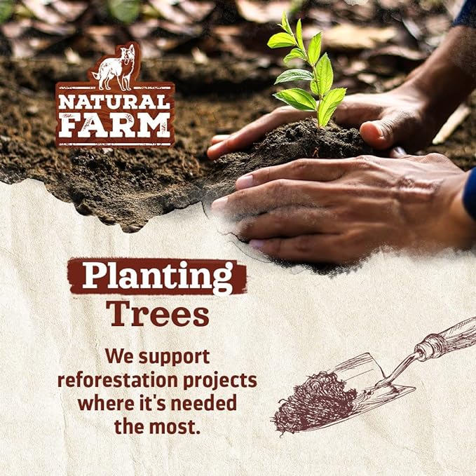 Natural Farm Odor Free Jumbo Bully Sticks (6 Inch, 12 Pack), Extra-Thick Dog Treats – Fully Digestible 100% Beef Treats, Natural Dental Chews – Keep Your Dog Busy with 50% Longer Lasting Chews