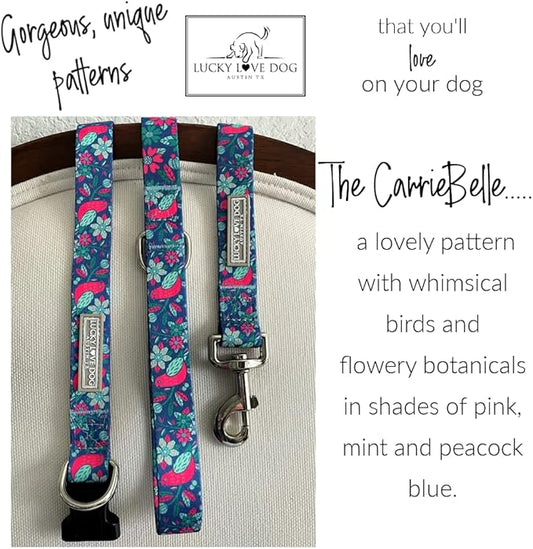 Lucky Love Dog - Adjustable Collar and Leash Set with Easy Click Buckle for Small to Large Dogs, Durable, & Comfortable Collar for Male & Female Dogs, Puppies & Adult - CarrieBelle Combo, Large