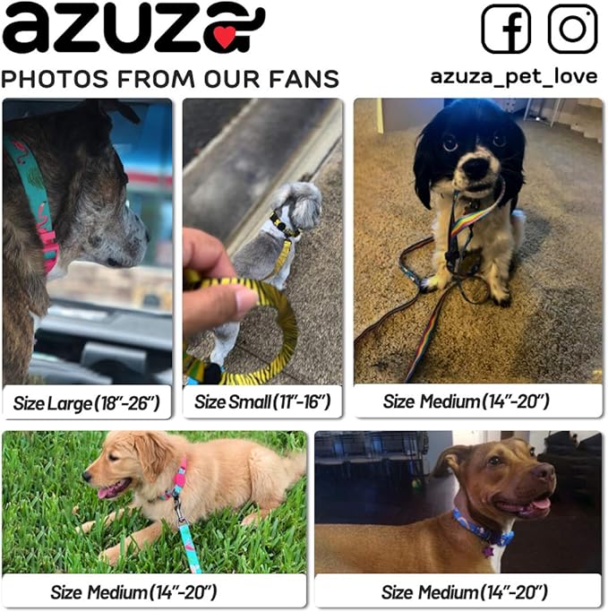 azuza Dog Collar and Leash Set, Adjustable Dog Collar with Matching Leash for Medium Dog, Blue Rainbow Unicorn Dog Collar Leash Combo Set