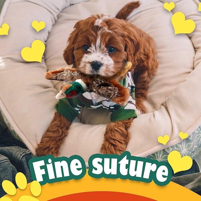 ALL FOR PAWS Dog Interactive Pheasant Toys, Squeaky Dog Toys, Stuffed Animal Dog Hunting Plush Toy, Large
