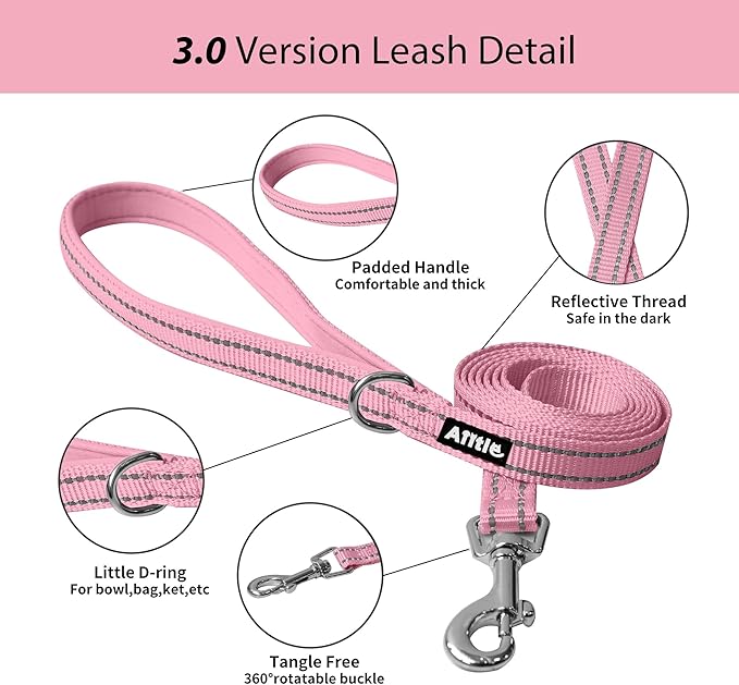 AIITLE Comfortable Dog Harness and Leash Set for Walking - Summer Step in Vest Harness,Reflective Bands, Adjustable No Pull Puppy Essentials, for Small Dogs and House Cats Pure Pink XS