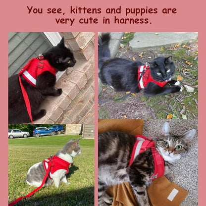 Cat Harnesses and Puppy Harness with Leashes Set, Escape Proof Cat Harness, Adjustable Reflective Soft Mesh Vest Fit Puppy Kitten Rabbit Ferrets's Outdoor Harness