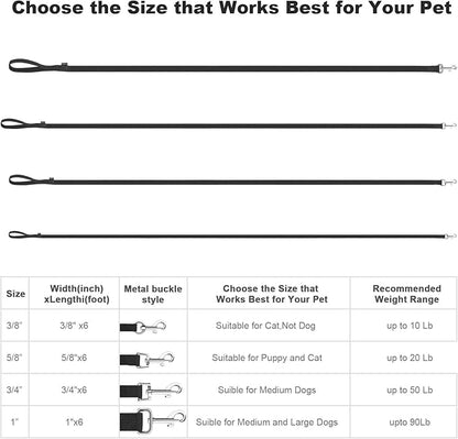 AMAGOOD 6 FT Puppy/Dog Leash, Strong and Durable Traditional Style Leash with Easy to Use Collar Hook, Great for Small, Medium and Large Dogs (1 in x 6 ft(Pack of 1), Black)