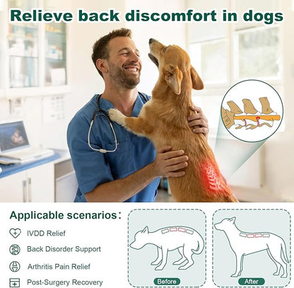 Dog Back Brace for IVDD, Arthritis, Slipped and Herniated Discs – Provides Back Support and Pain Relief, Stabilizes Spine for Surgical Recovery and Mobility, Dogs Back Disease Prevention(Blue,XL)