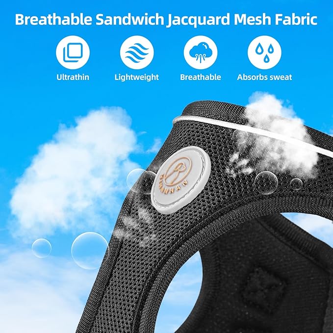 Soft Mesh Dog Harness and Leash Set, No Pull Puppy Harness and Leash Set, Reflective Step in Harness for Small Medium Dogs, Easy Walk Escape Proof Vest Harnesses (Black, XS)