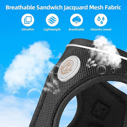 Soft Mesh Dog Harness and Leash Set, No Pull Puppy Harness and Leash Set, Reflective Step in Harness for Small Medium Dogs, Easy Walk Escape Proof Vest Harnesses (Black, XS)