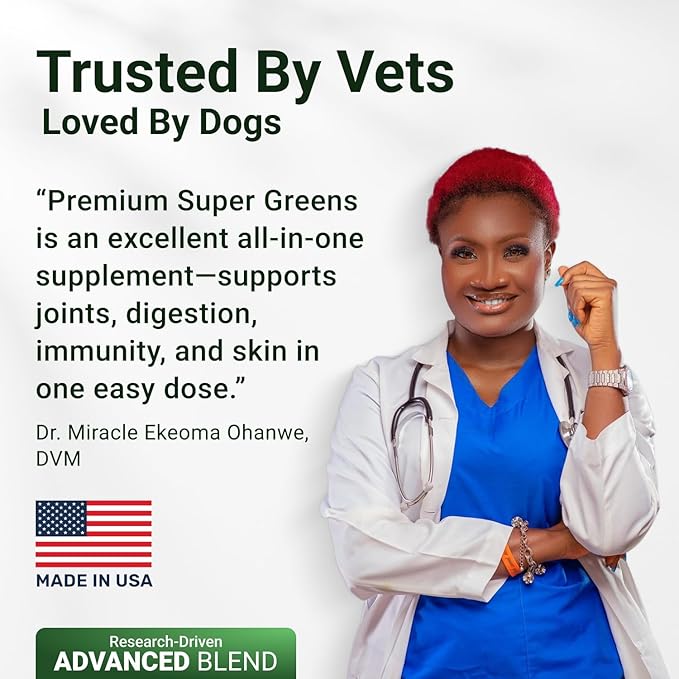 WuffWell Super Greens Powder for Dogs – Spirulina, Chlorella, Moringa, Glucosamine & Turmeric – Joint, Immune & Skin Support – Beef Flavor – Natural Dog Supplements – Vet Approved – Made in USA