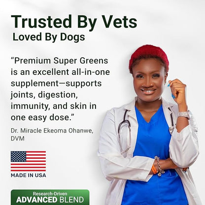 WuffWell Super Greens Powder for Dogs – Spirulina, Chlorella, Moringa, Glucosamine & Turmeric – Joint, Immune & Skin Support – Beef Flavor – Natural Dog Supplements – Vet Approved – Made in USA