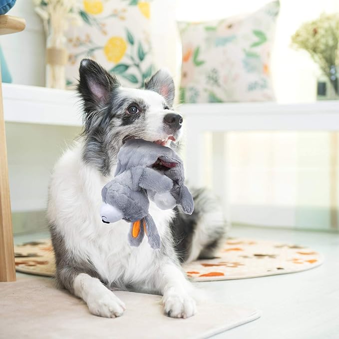 Nocciola 5 PCS Less Stuffing Dog Squeaky Toys for Aggressive Chewers, Durable Plush Dog Toy Set with Stuffed Head for Small to Large Dogs