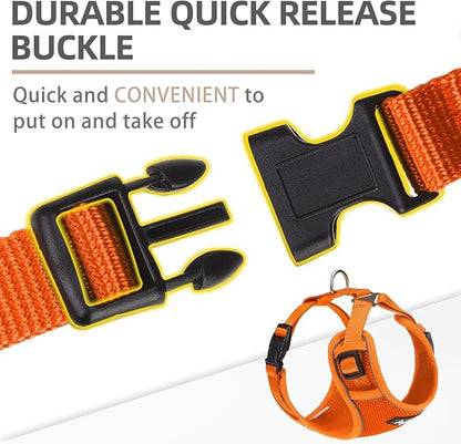 PUPTECK Small Dog Harness and Leash Set, No Pull Adjustable Puppy Cat Harness, Reflective Soft Mesh Pet Vest Small Sized
