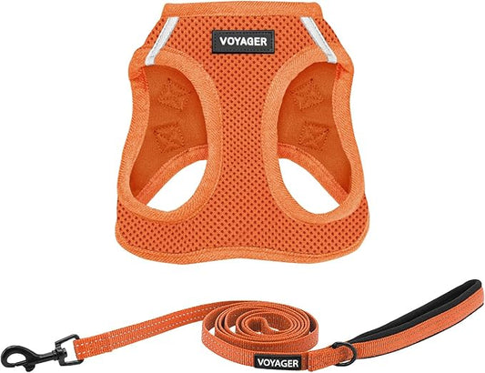 Voyager Step-in Air All Weather Mesh Harness and Reflective Dog 5 ft Leash Combo with Neoprene Handle, for Small, Medium and Large Breed Puppies by Best Pet Supplies - Set (Orange), XL