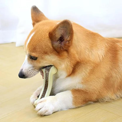 Dog Bones for Aggressive Chewers, 2 Pack Real Beef Flavor Puppy Teething Toys for Medium/Small Breeds, Nylon Durable Dog Chew Toys