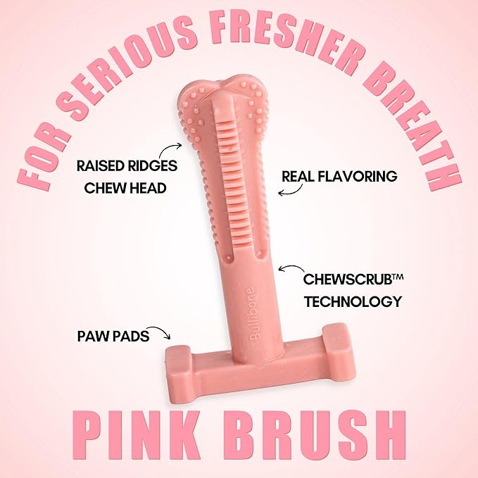 Bullibone SuperBrush: Dog Teeth Cleaning Brushing Toothbrush Stick - Long Lasting Nylon Pink Peppermint Chew Toy for Oral Care and Dental Health
