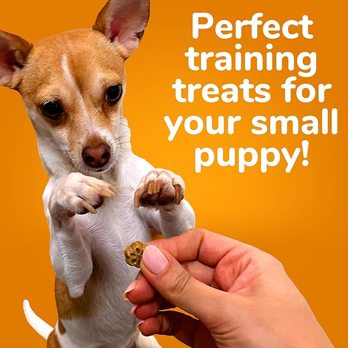 Fruitables Skinny Minis Dog Treats, Healthy Pumpkin Treat for Dogs, Low Calorie & Delicious, Puppy Training, No Wheat, Corn or Soy, Made in the USA, Watermelon Flavor, 5oz