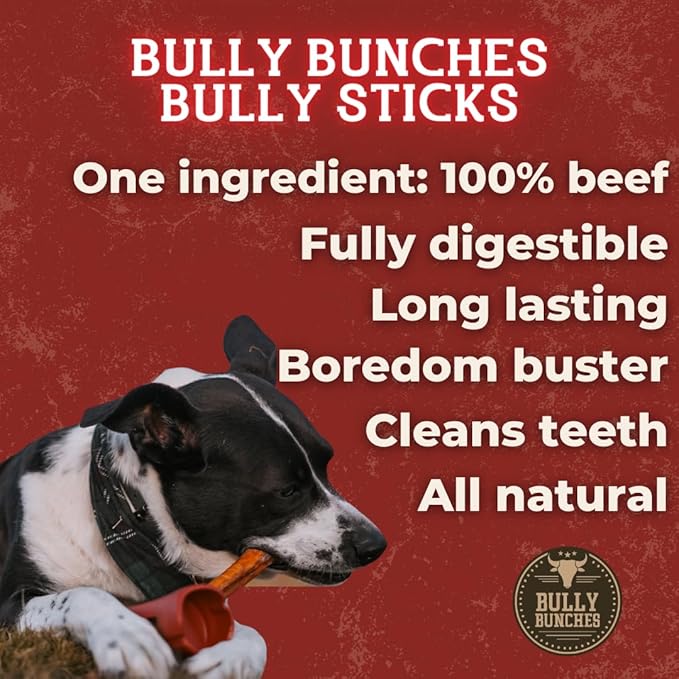 Bully Bunches Premium 6 Inch Thick Odor-Free Bully Sticks for Small & Medium Dogs - Long Lasting Chews for Oral Care- All Natural & Single Ingredient, 100% Beef Dog Treat, Rawhide Free (20 Pk)