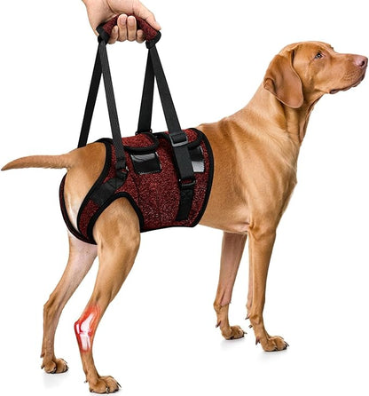 SlowTon Dog Lift Harness - Adjustable Dog Sling for Medium Large Dogs, Hind Leg Support to Help Rehabilitate, Soft Padded Dog Support Harness for Elderly, Injured, Arthritic, Disabled Dogs(R,S)