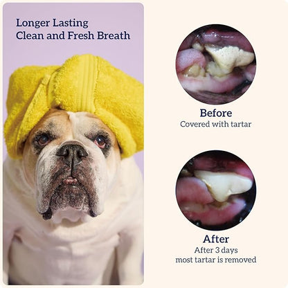 Groovies Slightly Softer, Yet Flexible Dental Chew for Senior Dogs & Delicate Chewers. Powered by USA-Patented DentalFit Tech. No Added Gluten, No Artificial Flavors or Colors. 12oz XLarge (8Chews)