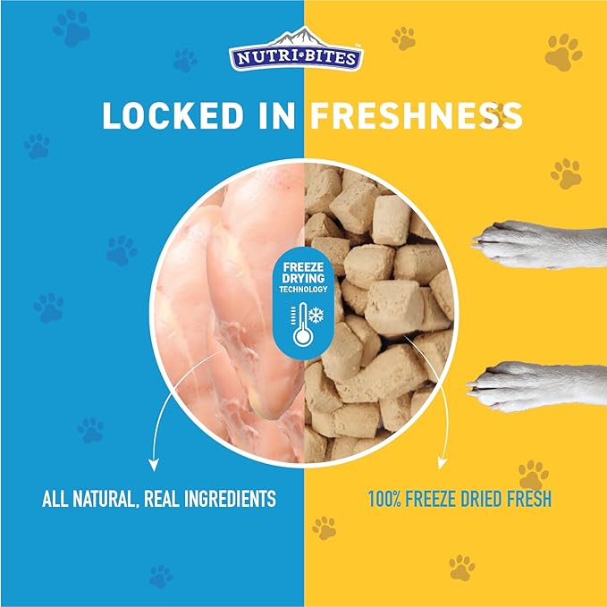 Nutri Bites Freeze Dried Chicken Dog & Cat Treats | Healthy Pet Training Treats or Food Topper | All Natural, 1 Single Animal Protein, High Protein | Premium Bulk Value Pack, 15 oz