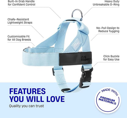 DF Co. Dog Harness | Chafe Resistant Webbing, Adjustable Neck & Chest, and Heavy Duty D-Ring | Sturdy, Comfortable, Easy to Use | Sky Blue, Size XS