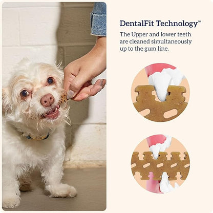Groovies Slightly Softer, Yet Flexible Dental Chew for Senior Dogs & Delicate Chewers. Powered by USA-Patented DentalFit Tech. No Added Gluten, No Artificial Flavors or Colors. 12oz Medium (20Chews)
