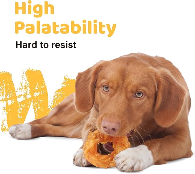 iPaw Turkey Tendons for Dogs, 100% Turkey and US Sourced Raw Material, Hypoallergenic, All Natural Human Grade Puppy Chew, Rawhide Alternative Dog Treats, 4 Units/Pack Ring (Small)