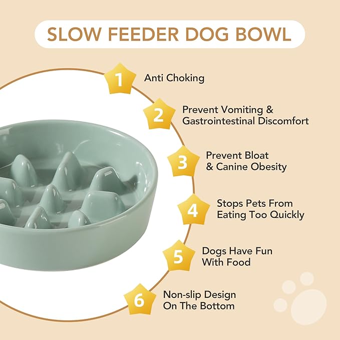 Ceramic 0.9 Cup Dog Raised Slow Feeder Set, Elevated Bowl with Wooden Stand for Small Dog, 6.1inch Pet Slow Feeder Dish for Fast Easters, Preventing Choking (Light Green, Single Bowl+ Stand)