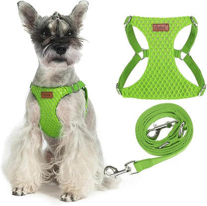 PUPTECK Dog Harness and Leash Set Small Sized, Step-in Cute Puppy Harness, Soft Lightweight Padded Vest, Escape Proof No Pull Pet Harnesses Easy for Walking, Green, S
