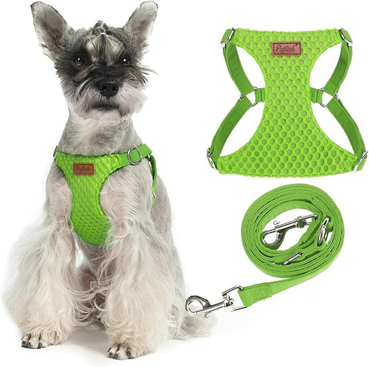 PUPTECK Dog Harness and Leash Set Small Sized, Step-in Cute Puppy Harness, Soft Lightweight Padded Vest, Escape Proof No Pull Pet Harnesses Easy for Walking, Green, S