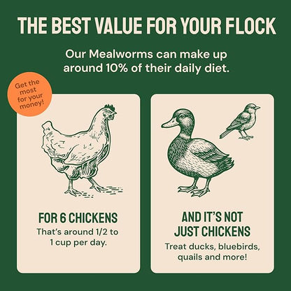 Hatortempt Bulk Dried Mealworms - 10 Lb Bag - Non-GMO Dried Mealworms for Chickens, Ducks & Wild Birds - High-Protein Chicken Feed & Bird Food