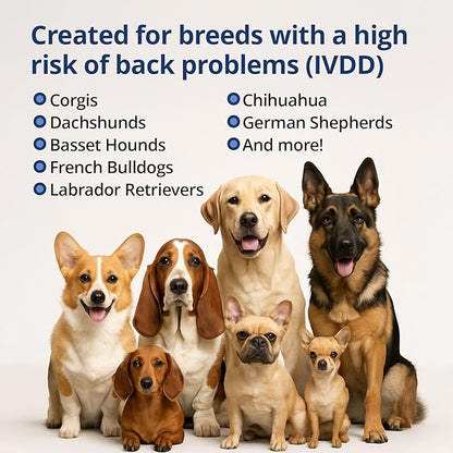 Under the Weather Disc & Spine Health Powder for Dogs | Spinal Disc Support | Vet Formulated Dog Joint Supplement for Long-Backed Breeds | IVDD Dog Supplies | Chicken Flavor Packets - 30 Day Supply L