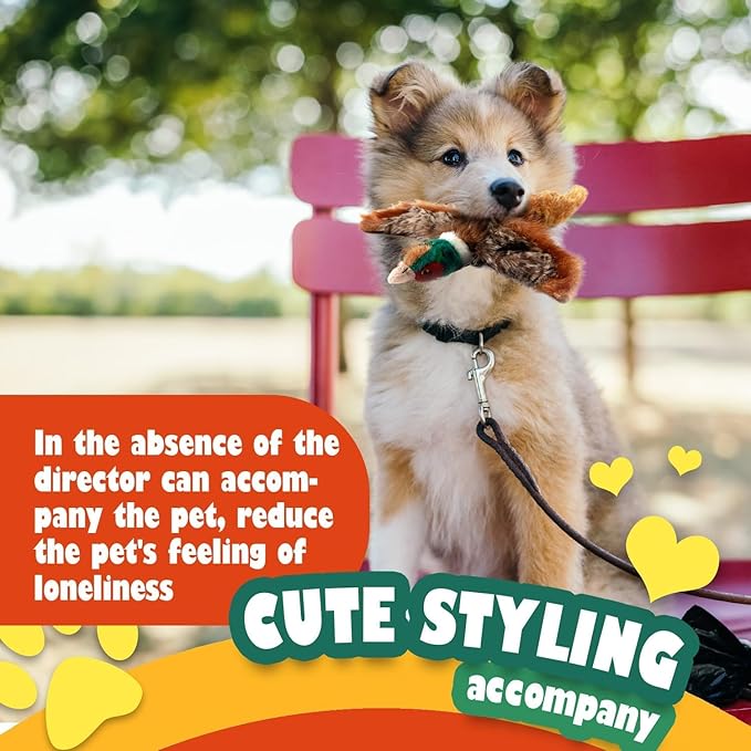 ALL FOR PAWS Dog Interactive Pheasant Toys, Squeaky Dog Toys, Stuffed Animal Dog Hunting Plush Toy, Large