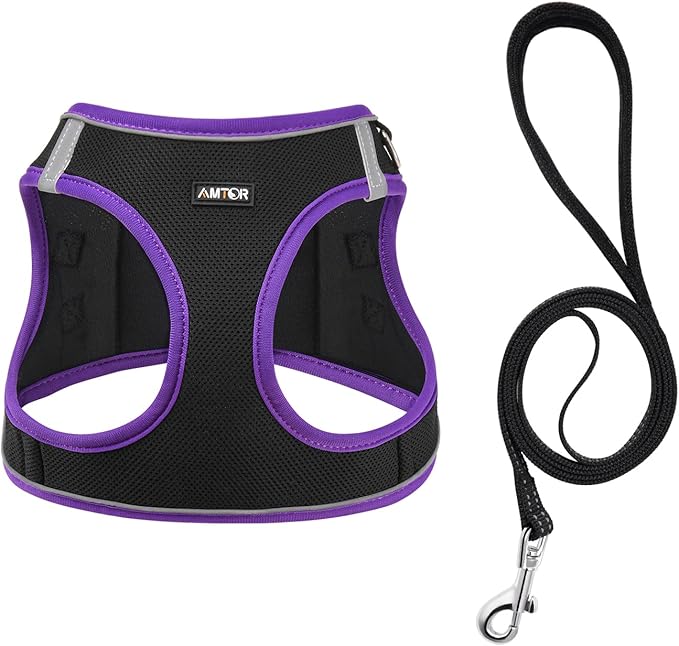 AMTOR Small Dog Harness with Leash Set, No Escape Easy Walk Puppy Harnesses for Training Walking, Step-in Reflective Soft Dogs Vest for XS S Medium Extra-Small Large Sized Dog(S,Black/Purple)