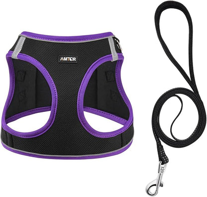 AMTOR Small Dog Harness with Leash Set, No Escape Easy Walk Puppy Harnesses for Training Walking, Step-in Reflective Soft Dogs Vest for XS S Medium Extra-Small Large Sized Dog(S,Black/Purple)